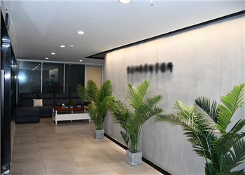 全国人民代表大会关于建立健全香港特别行政区维护国家安全的法律制度和执行机制的决定