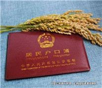 为给非婚生子上户口，表兄妹登记结婚起纠纷