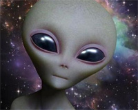 绿色版植物大战僵尸下载，植物大战僵尸存档版，植物大战僵尸全部通关存档版下载