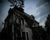 联想蓝牙适配器LX1815-RTL-Driver百度云 lenovo 联想蓝牙适配器5.0 驱动百度网盘