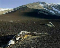 千岛湖下的古城是怎么回事？