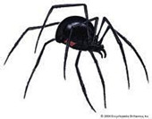 如何让搜索引擎快速爬取你的更新