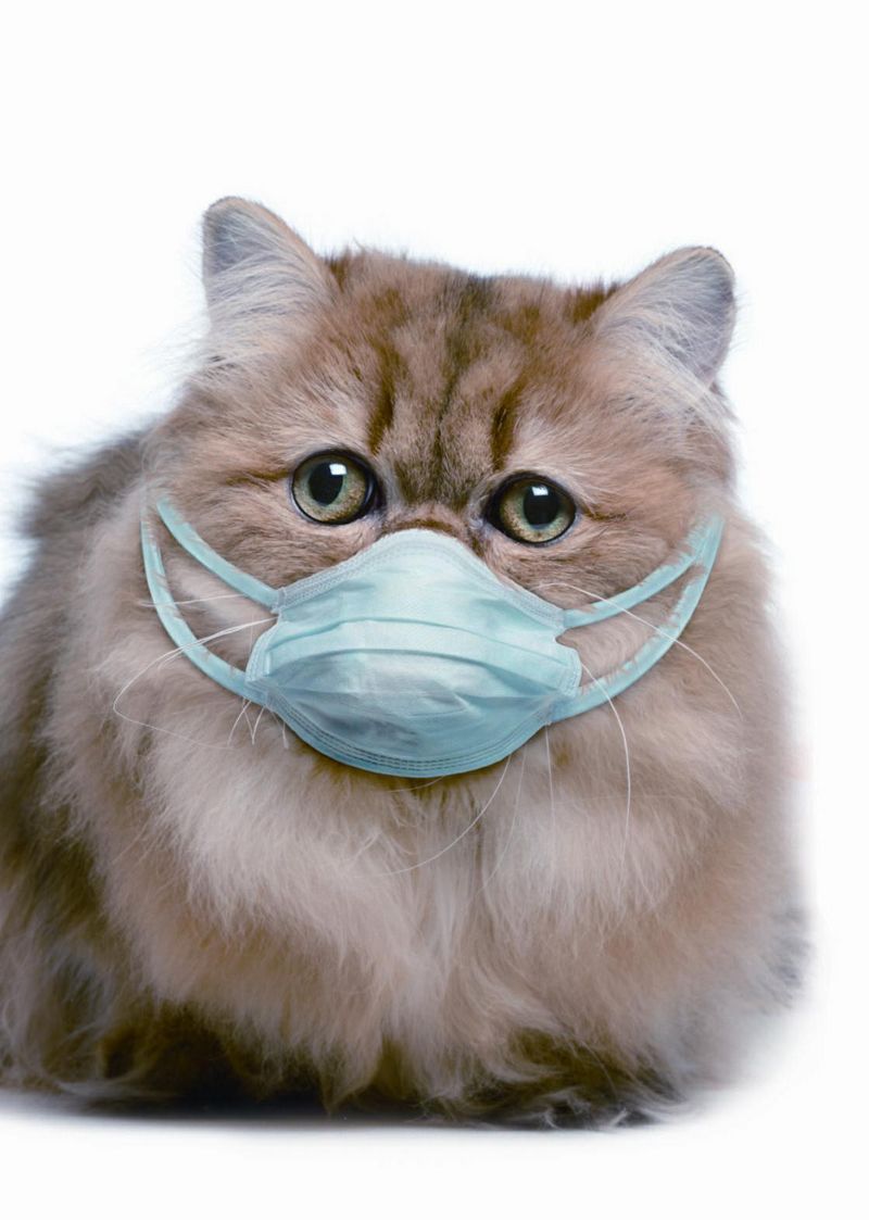 网站中毒代码怎么检测？