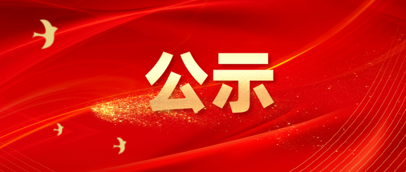 HS P9s笔式测厚仪